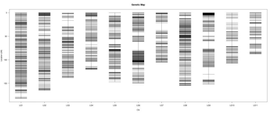 high-density-genetic-map-1.png